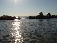 Liberty Island (5204972246)