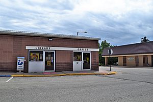 Livingston library