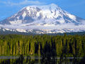 Majestic Mount Adams