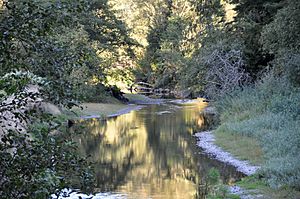 Miami river oregon.jpg