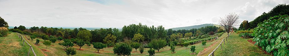 Monticello garden