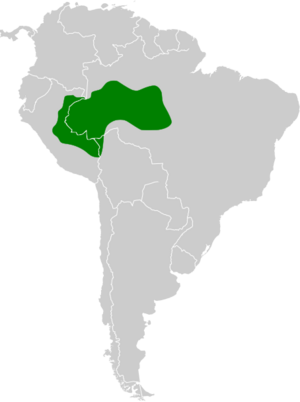 Phaethornis philippii map.svg