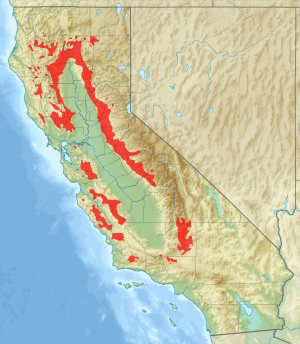 Pinus sabiniana distribution map