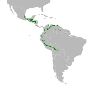 Piranga leucoptera map.svg