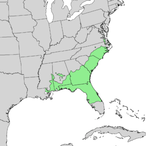 Quercus laevis range map 1.png