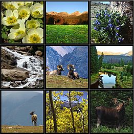 RMNP collage 2