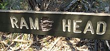 Rame head sign