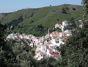 Salares Malaga-2.jpg