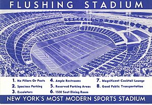 Shea Stadium concept