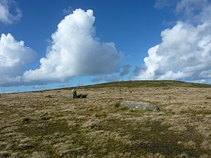 Standing stone and lying stone at Waun Mawn