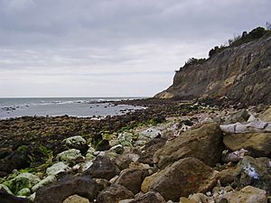 Steel Bay, IW, UK.jpg