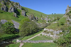 Wolfescote Dale