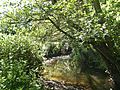 Wom Brook at Giggety