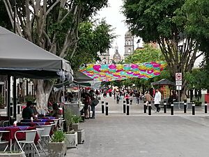 20 de noviembre de zapopan