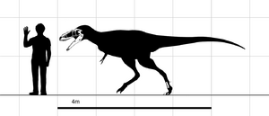 Alioramus skeletal steveoc