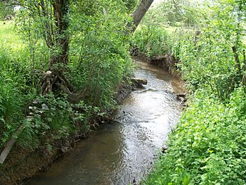 Badsey Brook geograph - 1914843.jpg