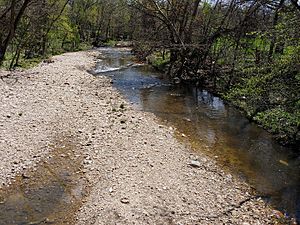 Baltimore-Herring-Run-Woodbourne-Avenue-2021