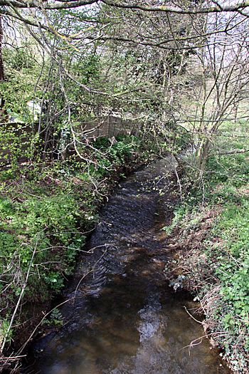 Barkham Brook (geograph 3435589).jpg