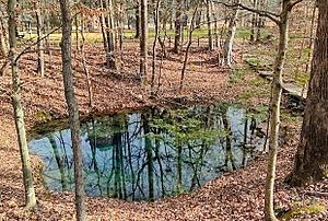 Blue Hole Spring