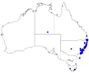 Boronia pinnata DistMap92.png