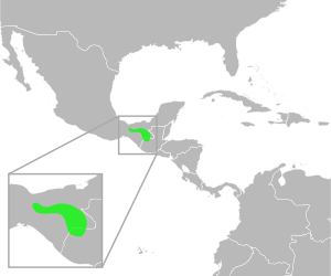 Bufo macrocristatus distribution.svg