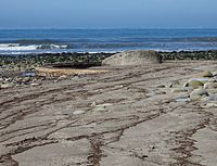 Camp Seaside artillery gun emplacement