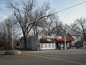 "the Clinton Store" in Clinton (2008)