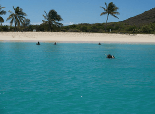 Culebrita Island