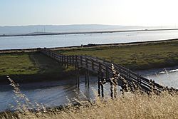 Don Edwards San Francisco Bay National Wildlife Refuge 3