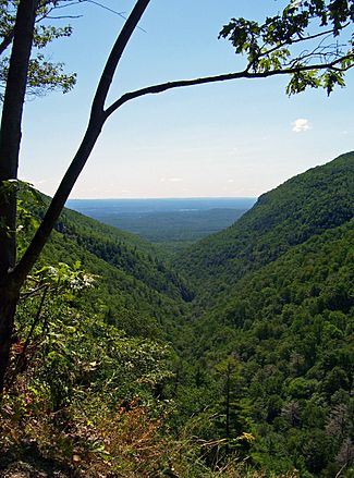 East view over Platte Clove, NY