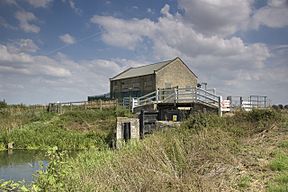 Head of Bottisham Lode.jpg