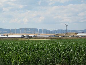 Hutterite colony outside of Martinsdale with an array of reconditioned Nordtank wind turbines