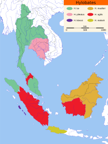 Hylobates distribution map with legend.svg