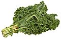 Kale-Bundle