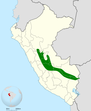 Lepidothrix coeruleocapilla map.svg