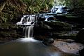 Leura cascades stream