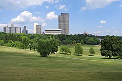 Lincoln Park Albany.jpg