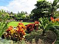 Maui-FredBaldwinHome-lawn-obl