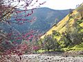 Merced canyon spring 2019