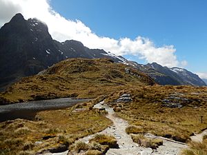 Milford Track Mackinnon Pass Track 1