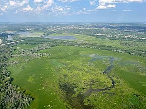 Minnesota River Valley Wetland