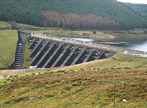 Nant y Moch dam Dec 31 2004