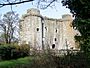 Nunney Castle - geograph.org.uk - 1214430.jpg