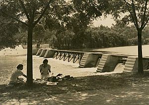 Picnic at Yanco Weir (2565776363).jpg