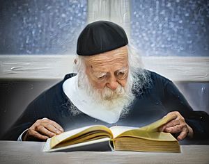 Rav Chaim Kanievsky zt'l