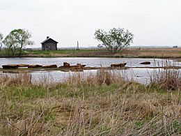 Cragg Cabin at Goose Lake Prairie