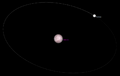 Salacia Actaea orbit simulation