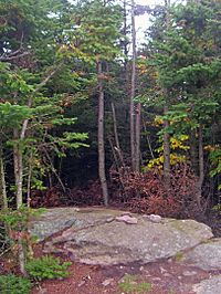 Summit of Balsam Lake Mountain