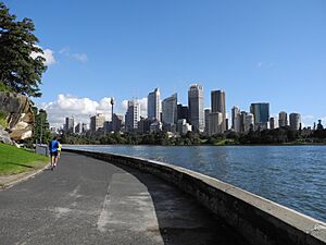 Sunny Sydney Skyline