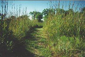 Tallgrass Prairie Trail.jpg